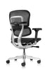 ERGO HUMAN ALL MESH TASK CHAIR- FREE SHIPPING!
