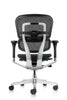 ERGO HUMAN ALL MESH TASK CHAIR- FREE SHIPPING!