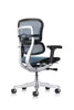 ERGO HUMAN ALL MESH TASK CHAIR- FREE SHIPPING!