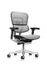 ERGO HUMAN ALL MESH TASK CHAIR- FREE SHIPPING!