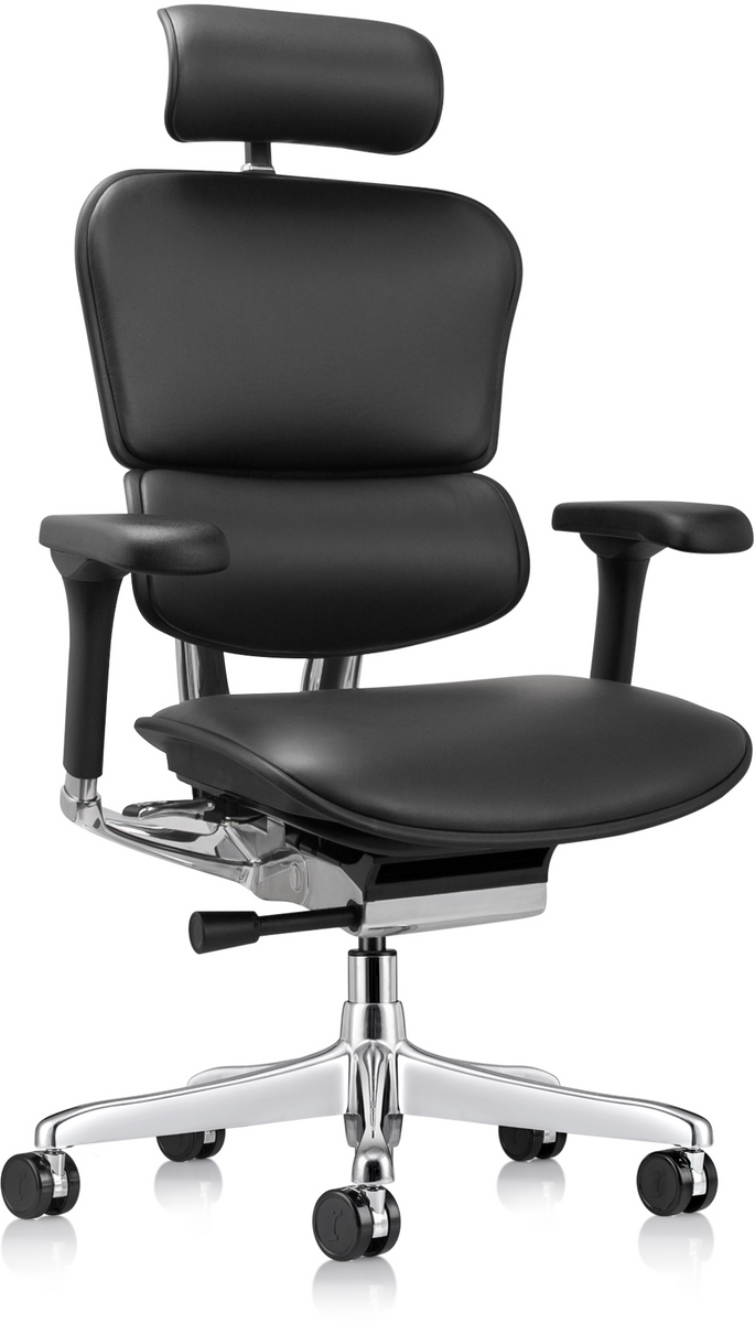 Ergohuman Leather Gen2 - Eurotech Executive Chair | Nationwide Office ...