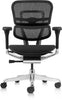 ERGO HUMAN ALL MESH TASK CHAIR- FREE SHIPPING!